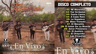 Intelectuales de la Sierra  En Vivo Alamos 2019 DISCO COMPLETO [upl. by Bena798]