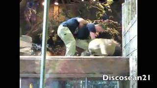 Lion Attacks Trainer At MGM Las Vegas Full Audio [upl. by Nomor74]