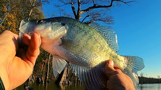 quotFloating around the lake and catching loads of winter Crappiequot [upl. by Analim]