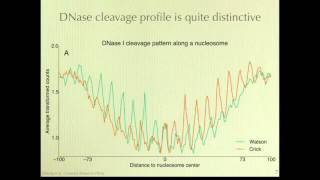 Mapping Nucleosome Positions Using DNase [upl. by Evol]