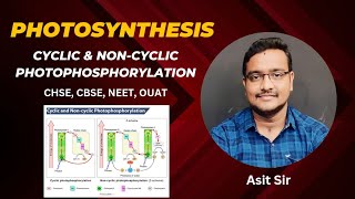 Cyclic amp Noncyclic Photophosphorylation asitbotany2107 [upl. by Clava]