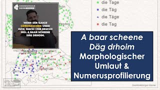 quotA baar scheene Däg drhoimquot – Der morphologische Umlaut amp Numerusprofilierung 🗨️ Sprawib [upl. by Blackstock]