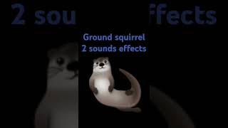 Ground squirrel 2 sounds effects [upl. by Aihsoem211]