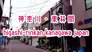 KANAGAWA WALK 神奈川・東林間の街並み higashirinkan kanagawa japan 202006 [upl. by Ellehcen909]