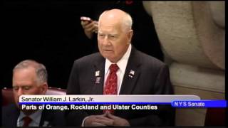 Senator Bill Larkin session comments on resolution J1913 [upl. by Lindie]