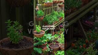 6 Smart Small Yard Landscaping Ideas  Simple Gardening Tips shorts [upl. by Stiruc]