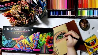 Prismacolor Pencil ✏️ Lets Practice with my New Art Supplies art drawing prismacolor [upl. by Ameerak]