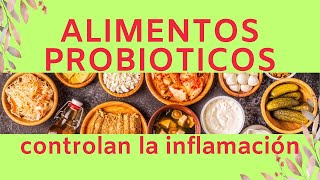 PROBIOTICOS CONTRA la INFLAMACIÓN [upl. by Nolava]