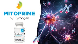 Protect Your Brain Cells amp Telomeres  MitoPrime Review [upl. by Htyderem102]