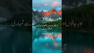 Surah baqara  Beautiful surah for sleeping 😴😴 beautiful shorts ytshorts [upl. by Amuh699]