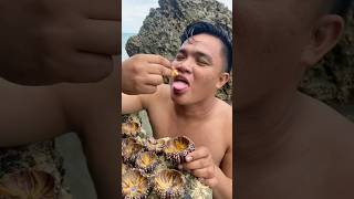 KILAW  ANCHONG TV fypyoutube islanding fishingadventures seaurchin [upl. by Milla]