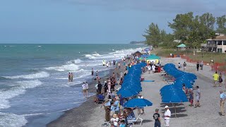 OPA Championship Races  Englewood Beach Waterfest Day 2 [upl. by Nalced]