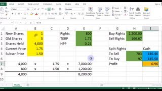 Rights Issue Calculator Excel Library Video 00006 [upl. by Ylelhsa]