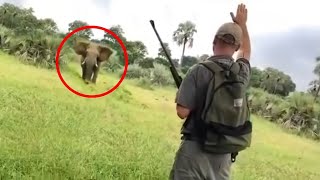 30 Times African Safari Trips Went Horribly Wrong Part 2 [upl. by Nylecsoj]