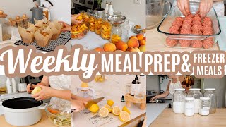 EASY BUDGET FRIENDLY WEEKLY MEAL PREP RECIPES LARGE FAMILY MEALS WHATS FOR DINNER FREEZER MEALS [upl. by Nnaitsirk]