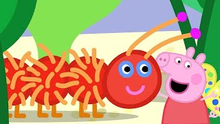 Peppa Learns About Nature 🐷🐛  PeppaPigOfficial [upl. by Xavier]