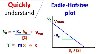 Eadie Hofstee Plot [upl. by Kcoj279]