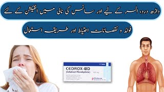 uses for Cedrox Bd 500 mg Tablet Cefadroxil 500mg cedrox bd tablet uses in urdu how to use cedrox [upl. by Anemolif951]