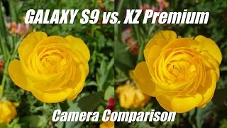 Galaxy S9 Plus vs Sony Xperia XZ Premium Camera Comparison [upl. by Brentt]