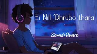 Ei Nill Dhrubo Thara Bangla SlowedReverb song  lofimusic lofi arjitsingh dilwale [upl. by Nylesor378]