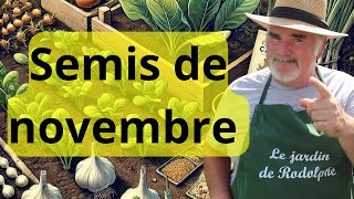 Les 10 meilleurs légumes à semer en novembre même par temps froid [upl. by Benedikt]