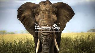 Plunkton  Was Wir Sind Nico Pusch Remix  Charming Clay [upl. by Zia]