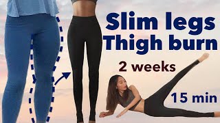 Slim legs amp thigh burn🔥secret easy workout  2 weeks beginner challenge 15minquietno equipment [upl. by Yila]