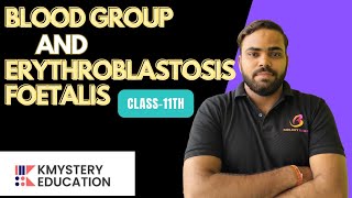 body fluid and circulation blood group and Erythroblastosis foetalisby vikas pandey [upl. by Ledah]