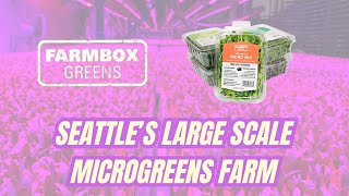 Farmbox Greens The Operations Behind Seattles Vertical Farm [upl. by Aeynod]