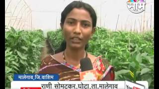 Vandana Somatkars vegetable shadenet farming success story [upl. by Kasey]