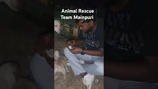 Animal Rescue Team Mainpuri Pls support kijiye dosto animals dog [upl. by Kemme]