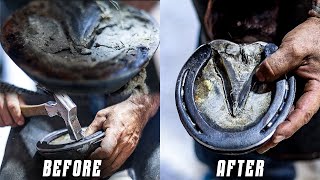 Horse Hoof Restoration  4K ASMR SATISFYING [upl. by Zetrok]