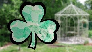 Easy St Patricks Day Craft Shamrock [upl. by Pavior]