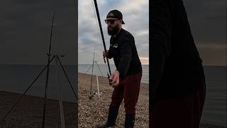 Chesil Beach is on fire 🔥 🔥chesil theshorehunter chesilbeach seafishing shorts fishing [upl. by Lithea]