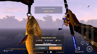 Unique Brown Trout Hotspot Guide  Saint Croix Lake Michigan  Fishing Planet [upl. by Irab]