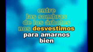 CHAYANNE  COMPLETAMENTE ENAMORADOS  KARAOKE [upl. by Arianne]