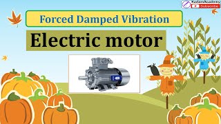 Electric Motor with Cantilever Beam Forced Damped Vibration 08 [upl. by Ayat452]