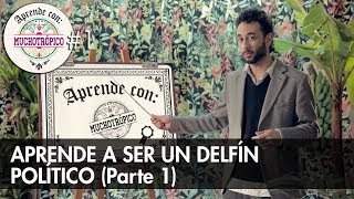 APRENDE A SER UN DELFÍN POLÍTICO parte 1  AprendeConMuchotrópico [upl. by Margo]