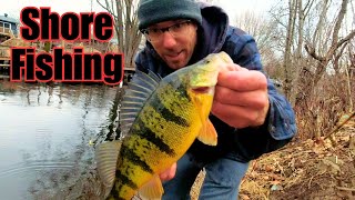 Shore Fishing Spring Jumbo Perch [upl. by Garvey]