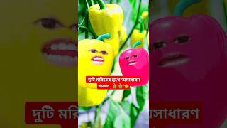 Hasbi Rabbi jallallah naat 🫑🫑👈shorts islamic ইসলামিকগজল trending fruit [upl. by Arnuad]