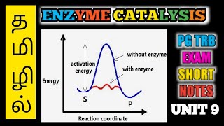 ENZYME KINETICS PGTRB UNIT9  ENZYME CATALYSIS  PG TRB EXAM SHORT NOTES SUPER SHORT NOTES [upl. by Nahsad]