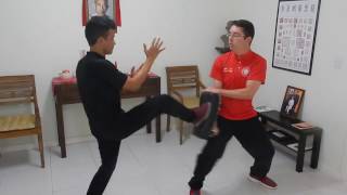 Ving Tsun Kung Fu  Como funciona o chute [upl. by Kazmirci]