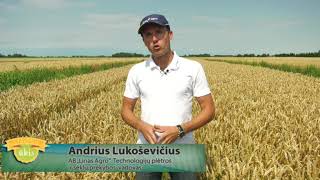 Linas Agro TV Svajonių ūkis 2017 09 09 [upl. by Heiskell]