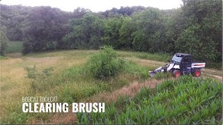 Bobcat Toolcat  Clearing Brush [upl. by Lam]