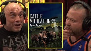 The Cow Mutilation Mysteries  Joe Rogan amp Action Bronson [upl. by Ameen]