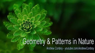 Patterns in Nature  Symmetry Fractals amp Geometry [upl. by Cassella328]