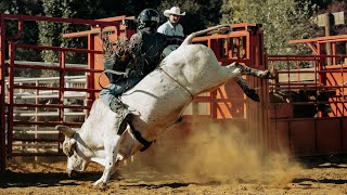 Bull riding and Fall festival  Maple Leaf Farms [upl. by Ahsikat]