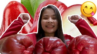 GIANT ROSE APPLE MUKBANG  ASMR MACOPA FRUITS [upl. by Plate]