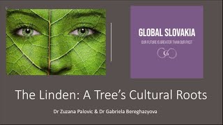 The Linden A Trees Cultural Roots [upl. by Hsirk410]