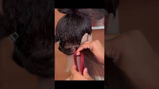 Cosmetology state board tips and tricks single box braid extensions We help u pass your stateboard [upl. by Delfeena]